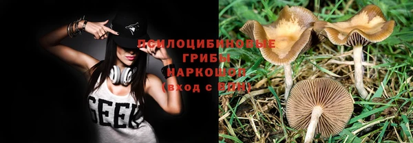 прущая мука Нефтекумск