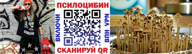 Купить закладки  Кирово-Чепецк  Псилоцибиновые грибы Psilocybe 